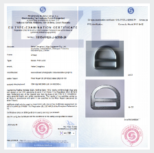 DZL D RING ON A HARNESS.png