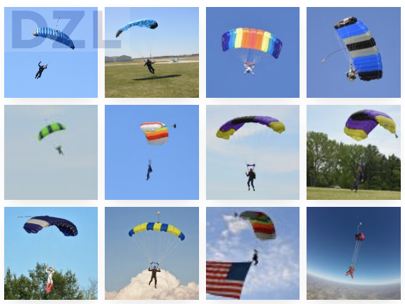 parachute d ring.png